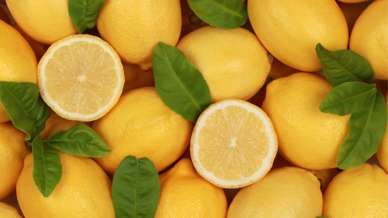How to Grow a Lemon Tree from a Seed and Harvest Your Own Fruit