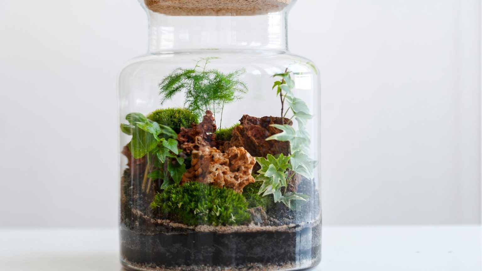 How to Build a Fun and Educational Terrarium with Your Kids – Sunny & Seed
