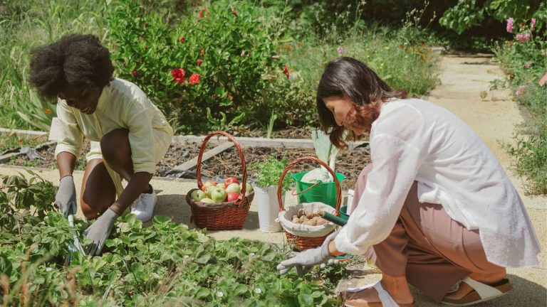 Eco-Friendly Pest Control for a Healthier Harvest